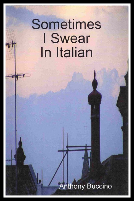 Sometimes I Swear in Italian by Anthony Buccino