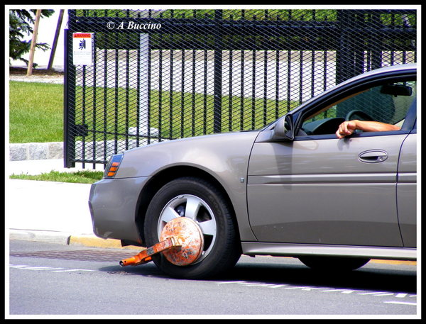 Booted Scofflaw, Jersey City, 2007  A Buccino 