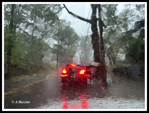 Parked Car in Downpour, Nutley NJ, 2023  A Buccino 