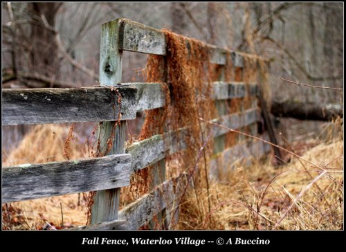 Waterloo Village, NJ, landscape,  A Buccino