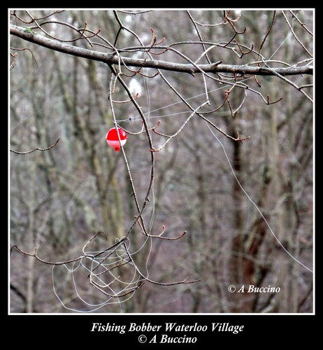 Fishing Bobber, Waterloo Village, NJ, Morris Canal, landscape,  A Buccino