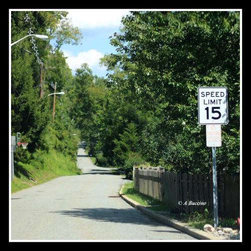 Taking it slow on back roads in Blairstown NJ 