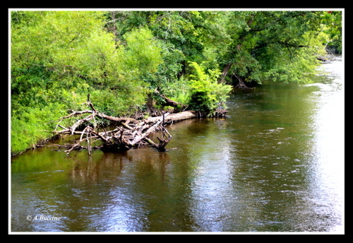 Trout stocked water, homes 100 feet away, paradise