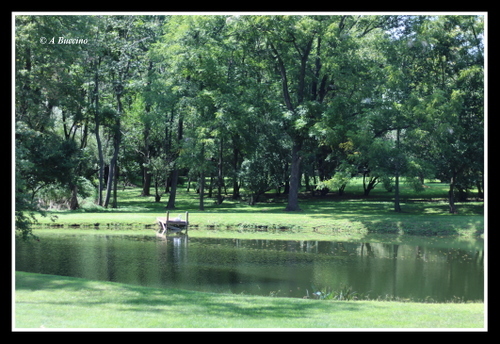 Blairstown backroad,roadside pond, boat dock 